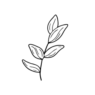 אקנה ואיזון